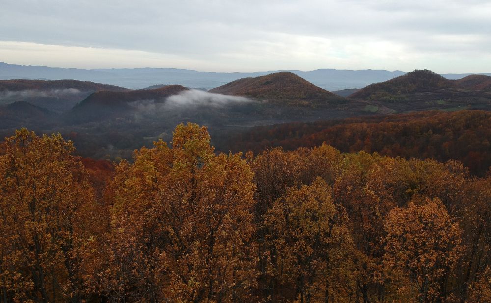 Pozeska kotlina