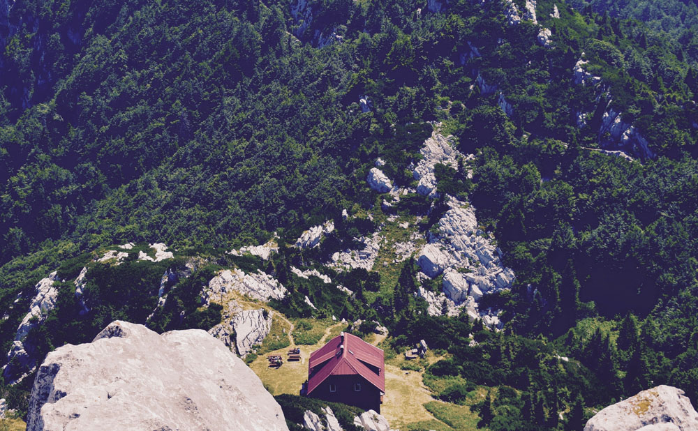 Risnjak