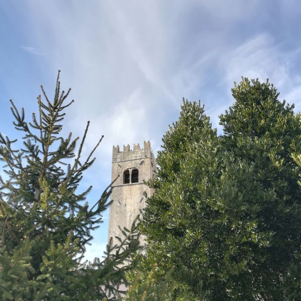 Uncover Culinary Treasures in the Motovun Forest